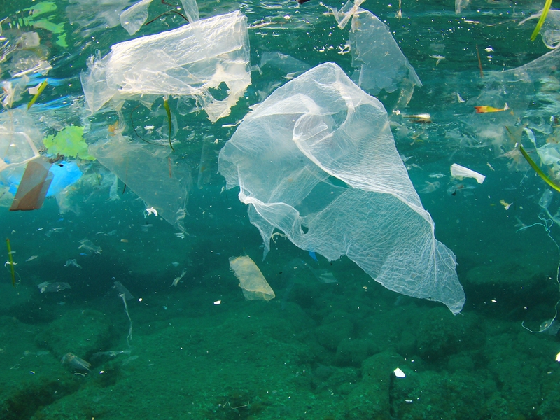 Nieuw voorstel Europese Commissie maakt korte metten met plastic voor eenmalig gebruik