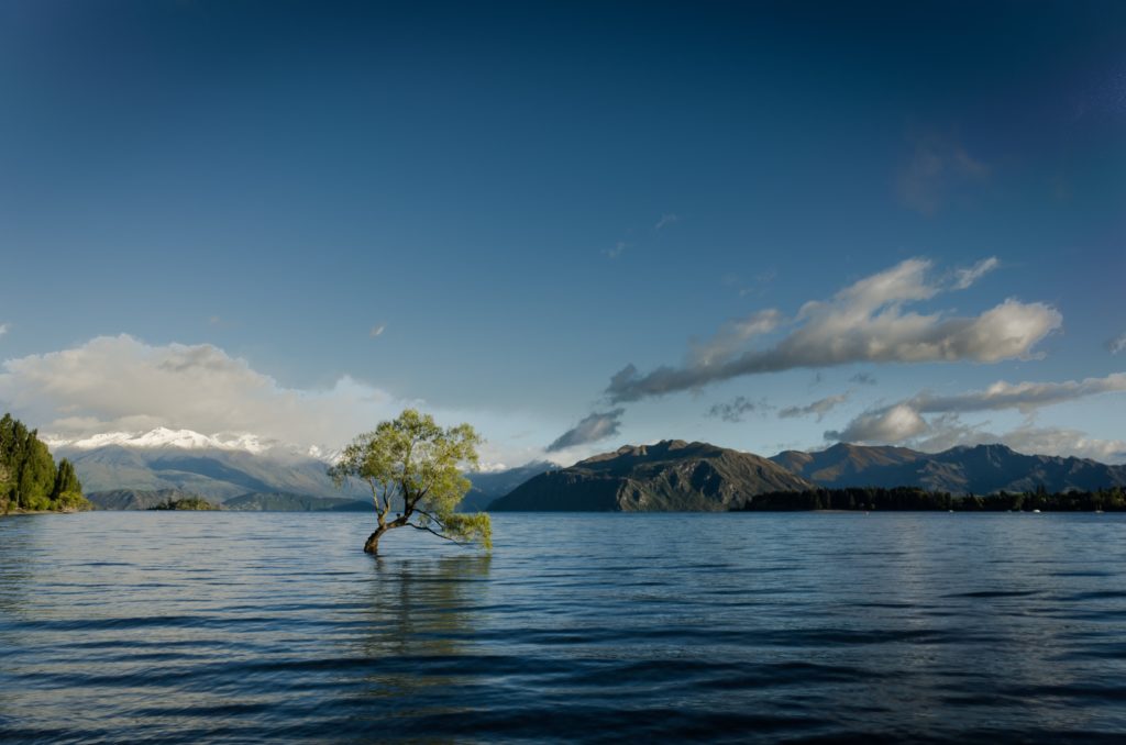 Nationale en internationale waterambities: stand van zaken